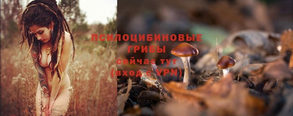 стафф Верея