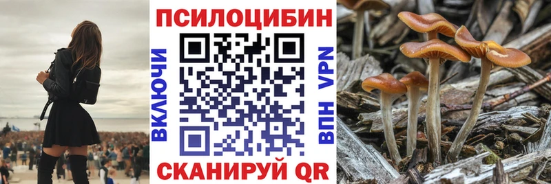 Псилоцибиновые грибы Magic Shrooms мориарти состав Туран цены наркотик